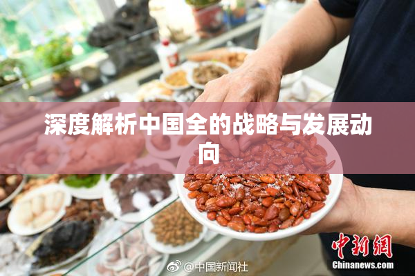 深度解析中国全的战略与发展动向