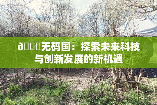 🔞无码国：探索未来科技与创新发展的新机遇