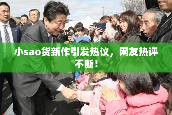 小sao货新作引发热议，网友热评不断！