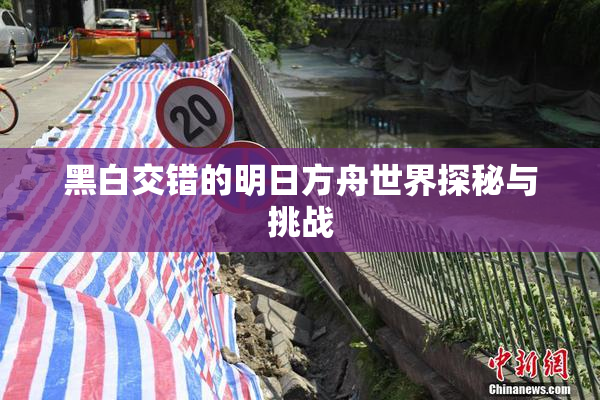 黑白交错的明日方舟世界探秘与挑战