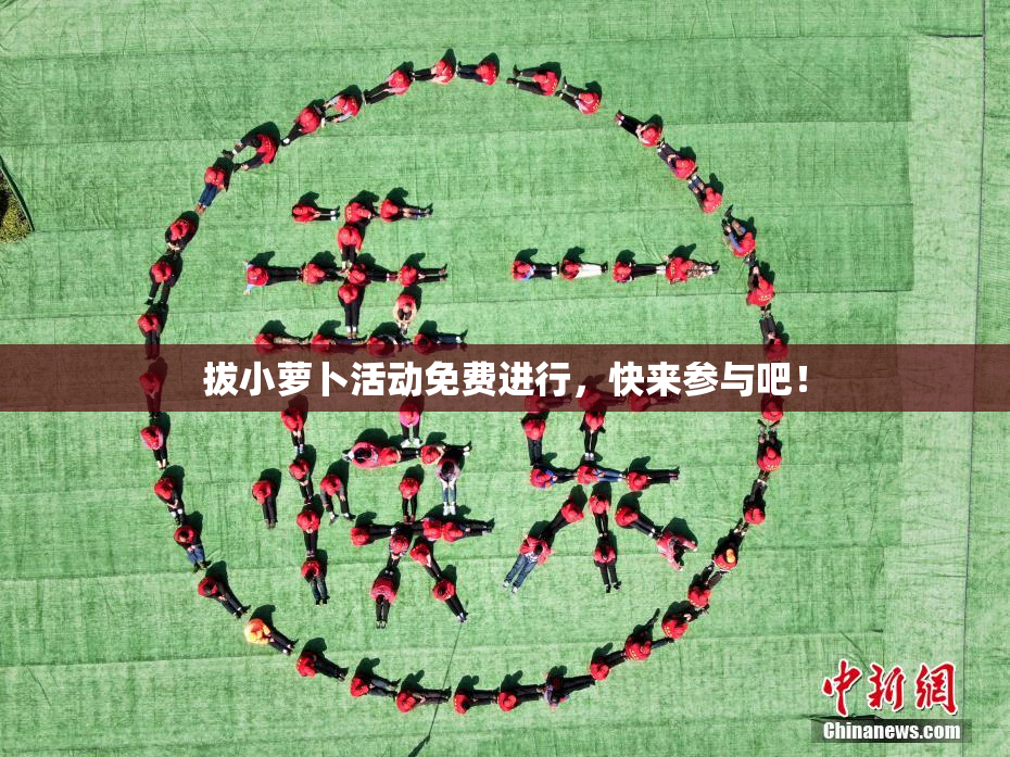 拔小萝卜活动免费进行，快来参与吧！