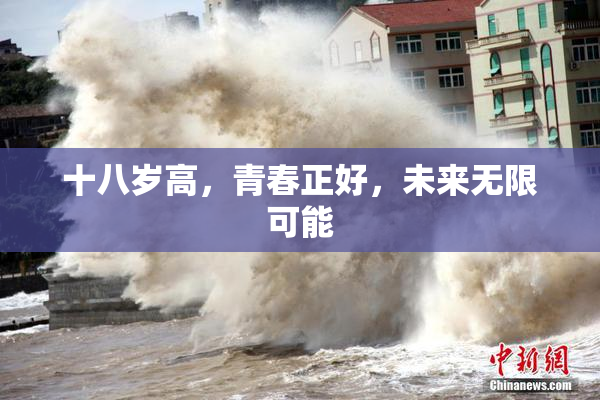 十八岁高，青春正好，未来无限可能
