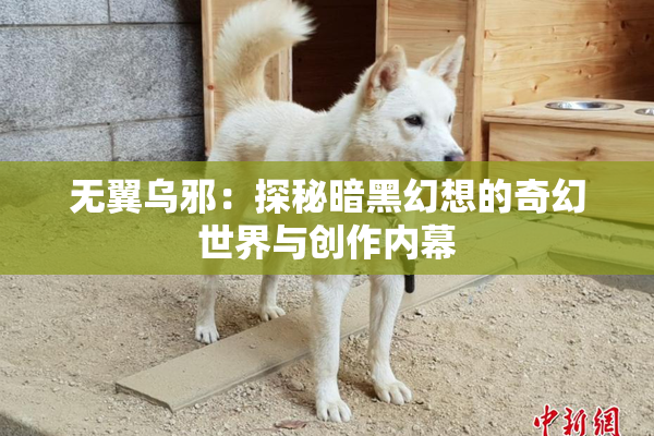 无翼乌邪：探秘暗黑幻想的奇幻世界与创作内幕