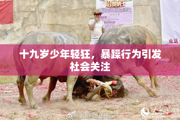 十九岁少年轻狂，暴躁行为引发社会关注