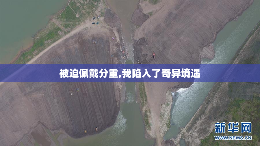 被迫佩戴分重,我陷入了奇异境遇