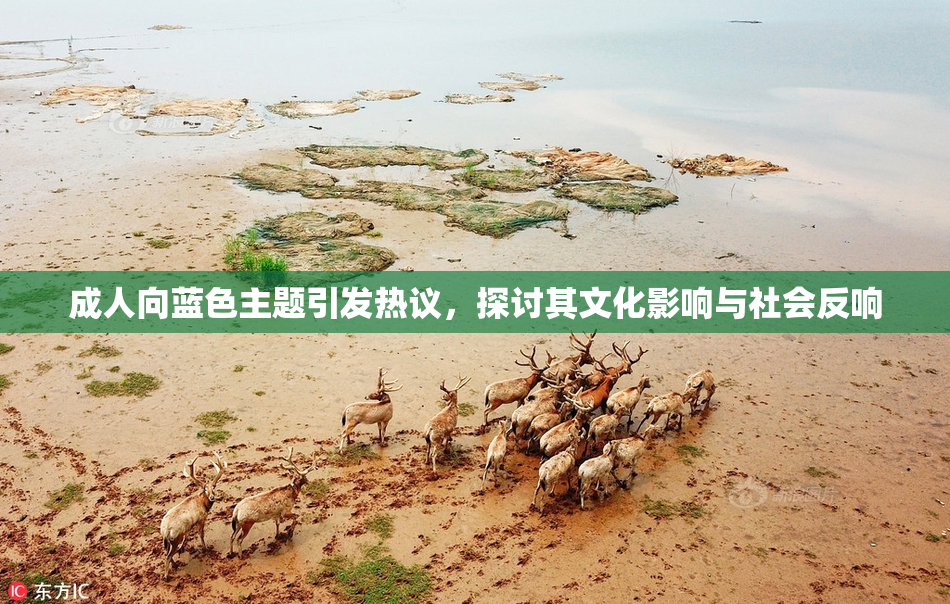 成人向蓝色主题引发热议，探讨其文化影响与社会反响