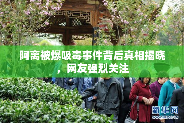 阿离被爆吸毒事件背后真相揭晓，网友强烈关注