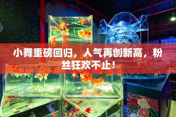 小舞重磅回归，人气再创新高，粉丝狂欢不止！