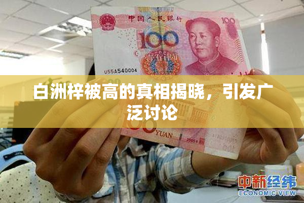 白洲梓被高的真相揭晓，引发广泛讨论