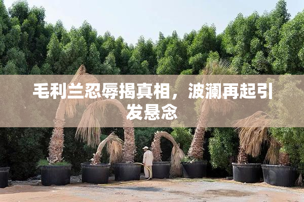 毛利兰忍辱揭真相，波澜再起引发悬念