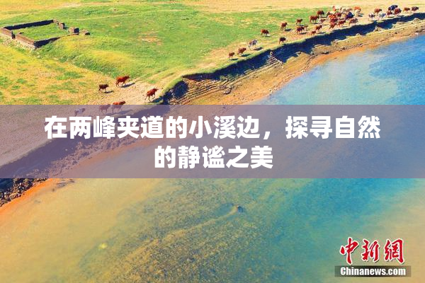 在两峰夹道的小溪边，探寻自然的静谧之美
