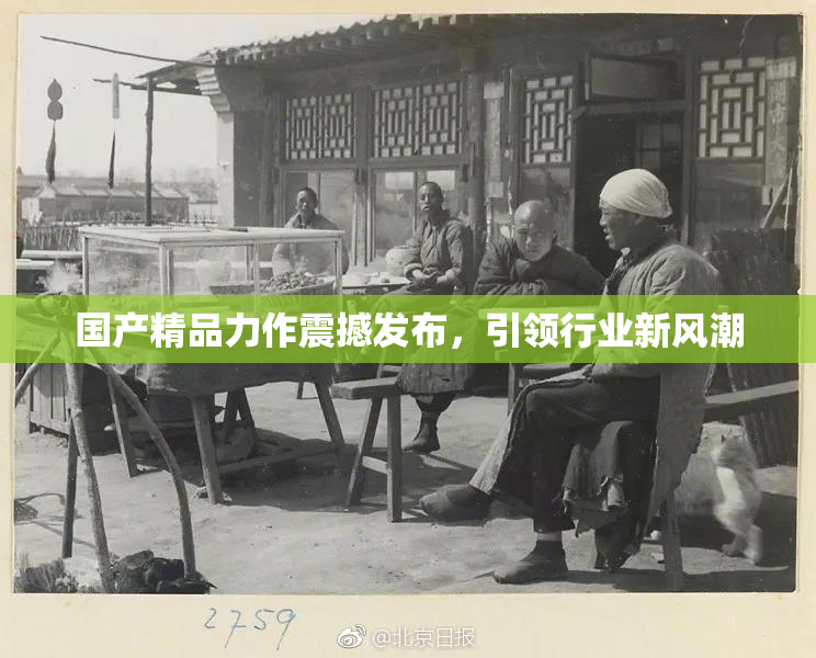 国产精品力作震撼发布，引领行业新风潮