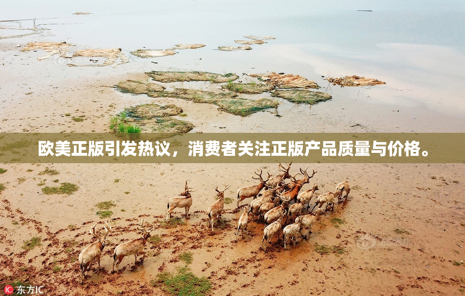 欧美正版引发热议，消费者关注正版产品质量与价格。