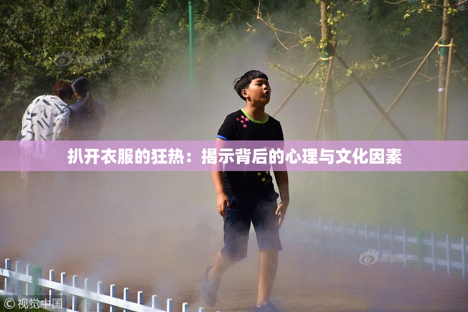 扒开衣服的狂热：揭示背后的心理与文化因素