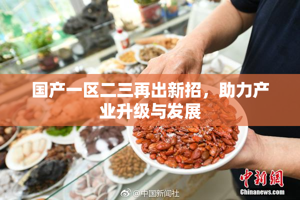 国产一区二三再出新招，助力产业升级与发展