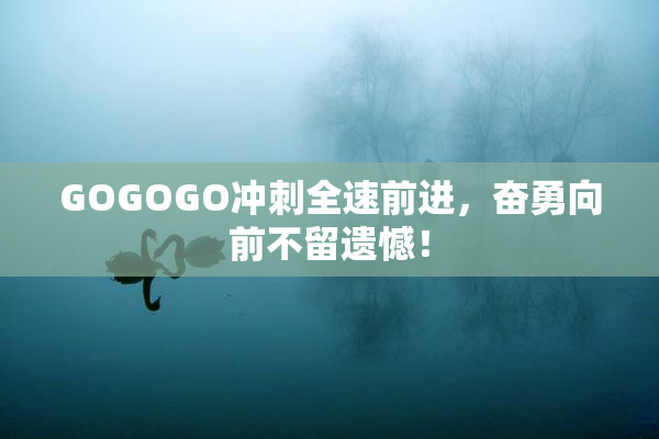 GOGOGO冲刺全速前进，奋勇向前不留遗憾！