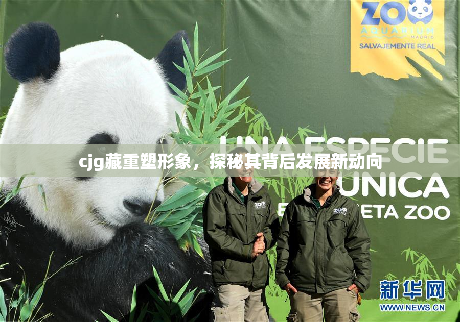cjg藏重塑形象，探秘其背后发展新动向