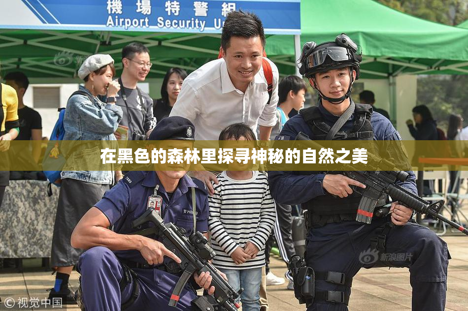 在黑色的森林里探寻神秘的自然之美
