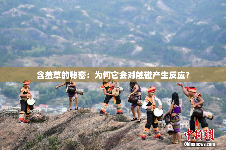 含羞草的秘密：为何它会对触碰产生反应？