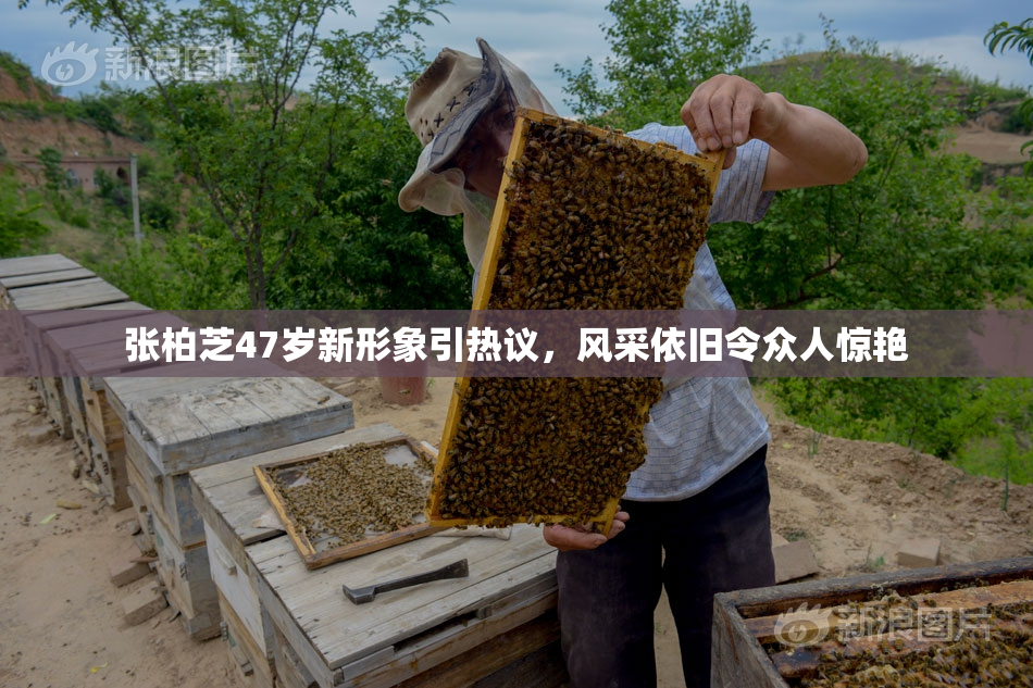 张柏芝47岁新形象引热议，风采依旧令众人惊艳