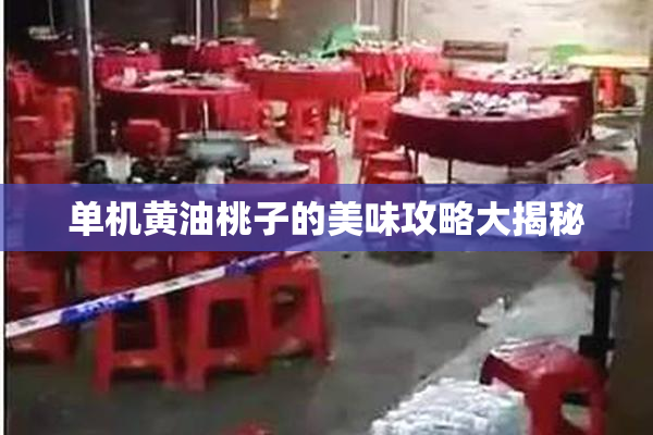 单机黄油桃子的美味攻略大揭秘