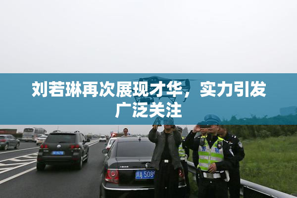 刘若琳再次展现才华，实力引发广泛关注