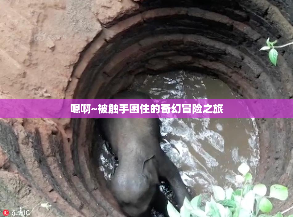 嗯啊~被触手困住的奇幻冒险之旅