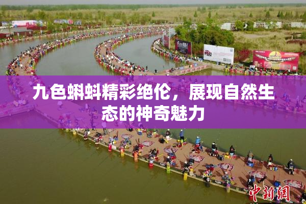 九色蝌蚪精彩绝伦，展现自然生态的神奇魅力