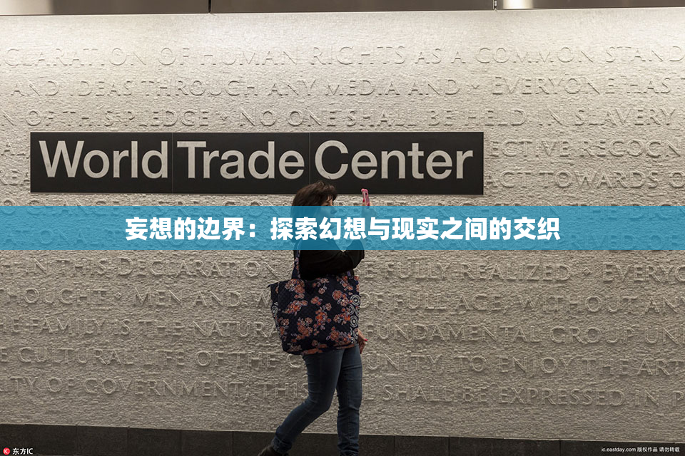 妄想的边界：探索幻想与现实之间的交织