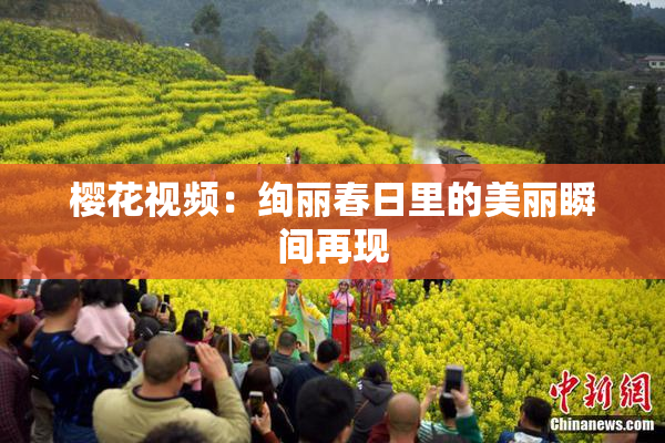 樱花视频：绚丽春日里的美丽瞬间再现