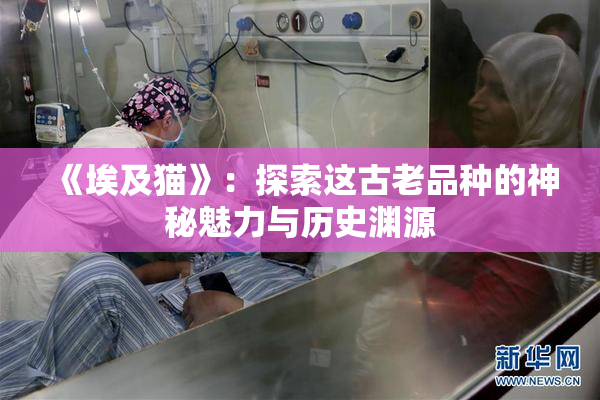《埃及猫》：探索这古老品种的神秘魅力与历史渊源