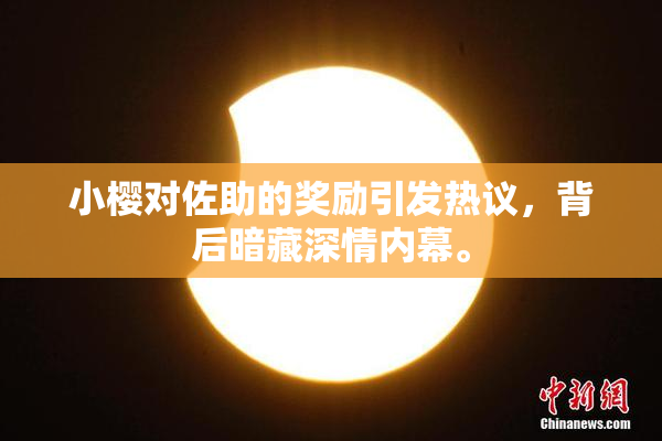 小樱对佐助的奖励引发热议，背后暗藏深情内幕。