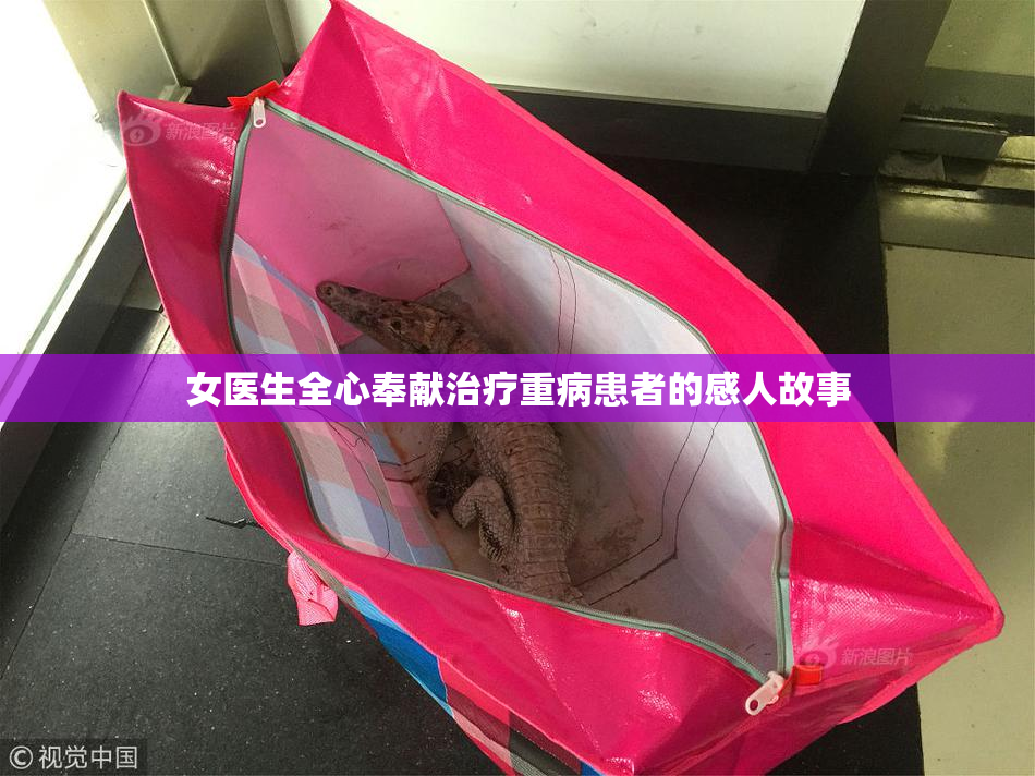 女医生全心奉献治疗重病患者的感人故事