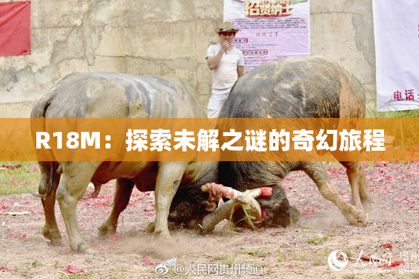 R18M：探索未解之谜的奇幻旅程