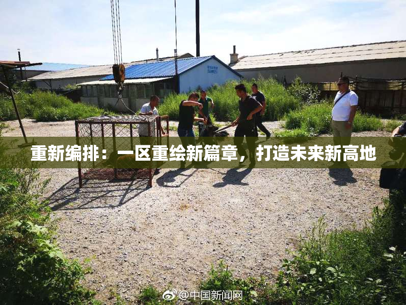 重新编排：一区重绘新篇章，打造未来新高地