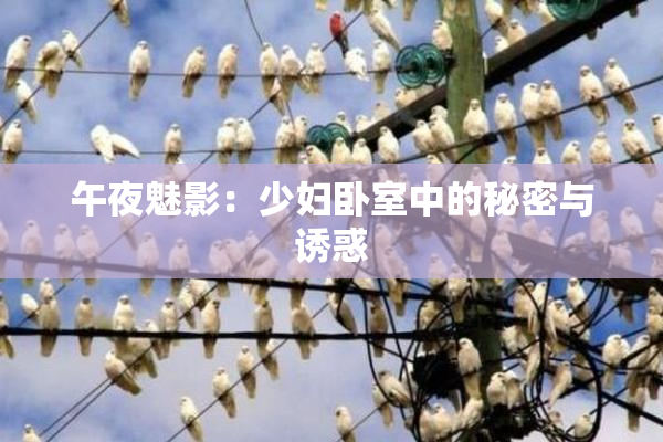 午夜魅影：少妇卧室中的秘密与诱惑