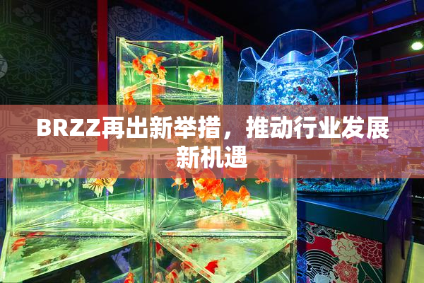 BRZZ再出新举措，推动行业发展新机遇