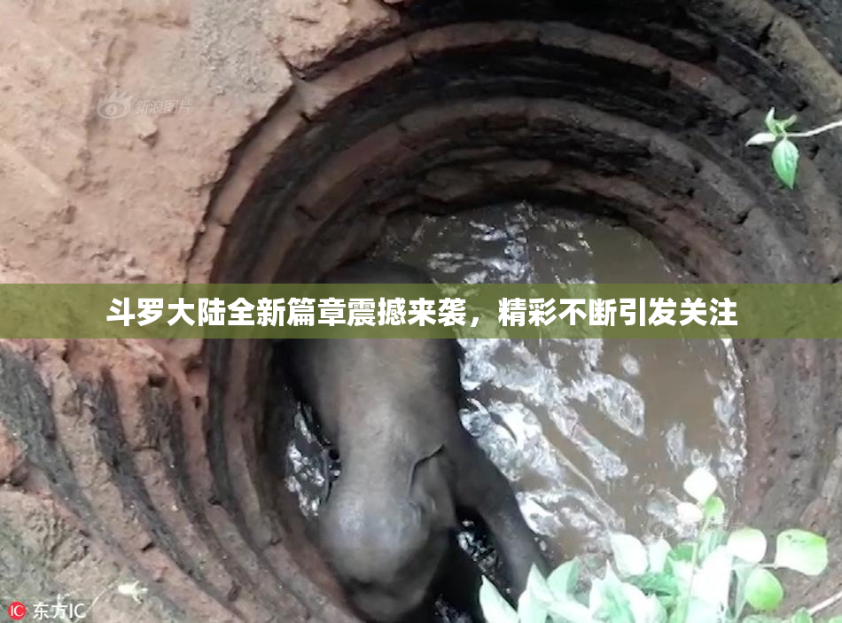 斗罗大陆全新篇章震撼来袭，精彩不断引发关注