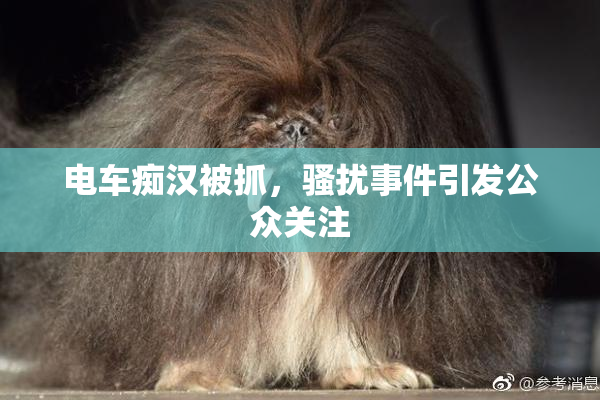 电车痴汉被抓，骚扰事件引发公众关注