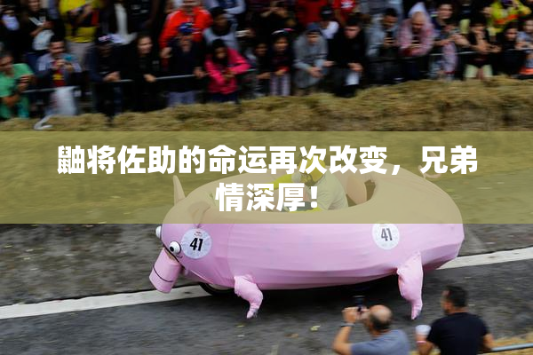 鼬将佐助的命运再次改变，兄弟情深厚！
