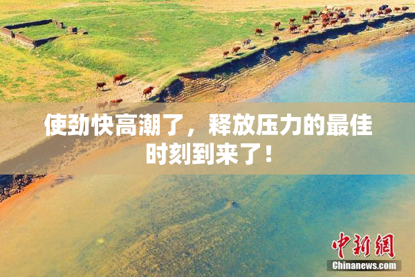 使劲快高潮了，释放压力的最佳时刻到来了！