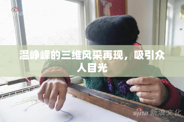 温峥嵘的三维风采再现，吸引众人目光