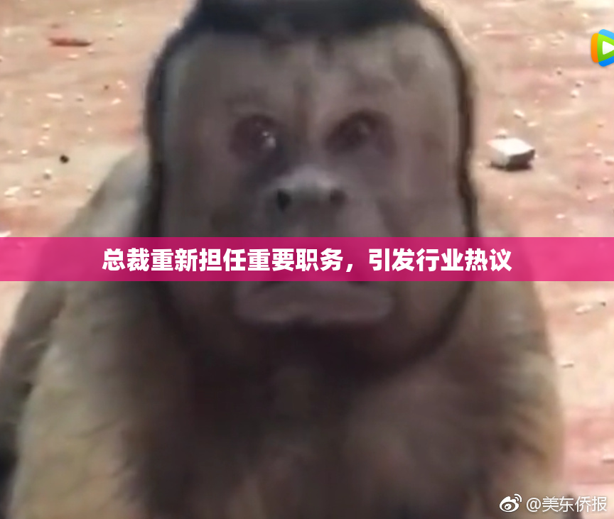 总裁重新担任重要职务，引发行业热议