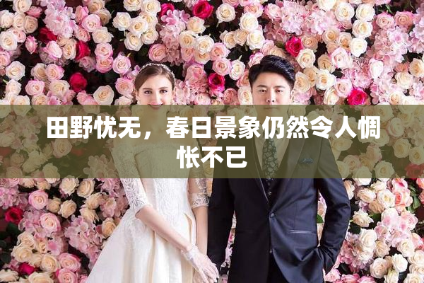 田野忧无，春日景象仍然令人惆怅不已