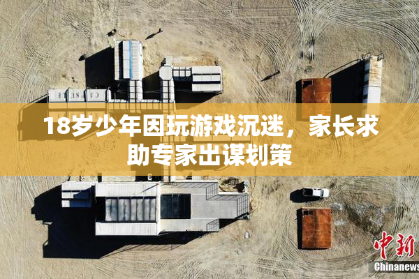 18岁少年因玩游戏沉迷，家长求助专家出谋划策