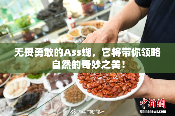 无畏勇敢的Ass蝴，它将带你领略自然的奇妙之美！