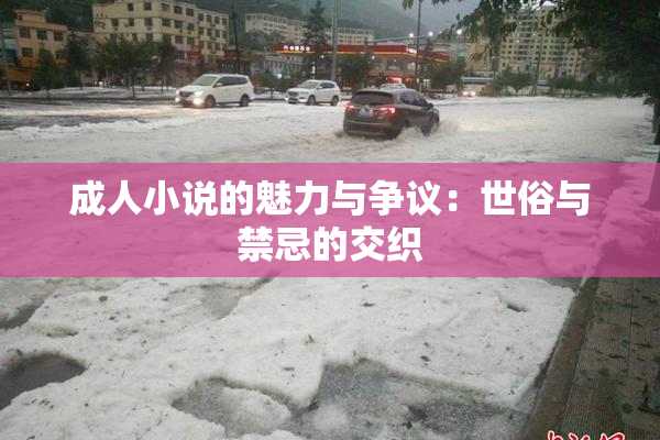 成人小说的魅力与争议：世俗与禁忌的交织