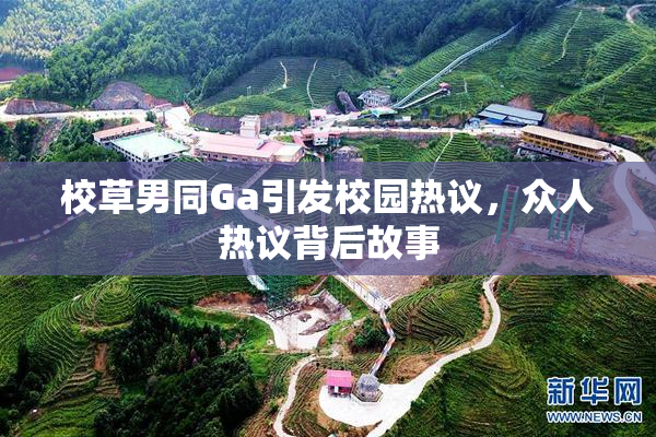 校草男同Ga引发校园热议，众人热议背后故事