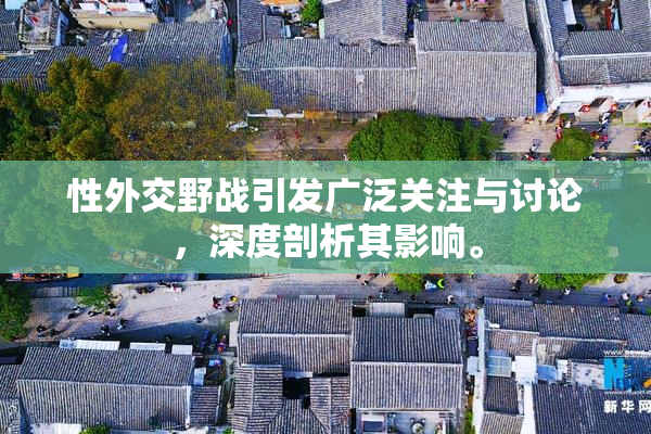 性外交野战引发广泛关注与讨论，深度剖析其影响。