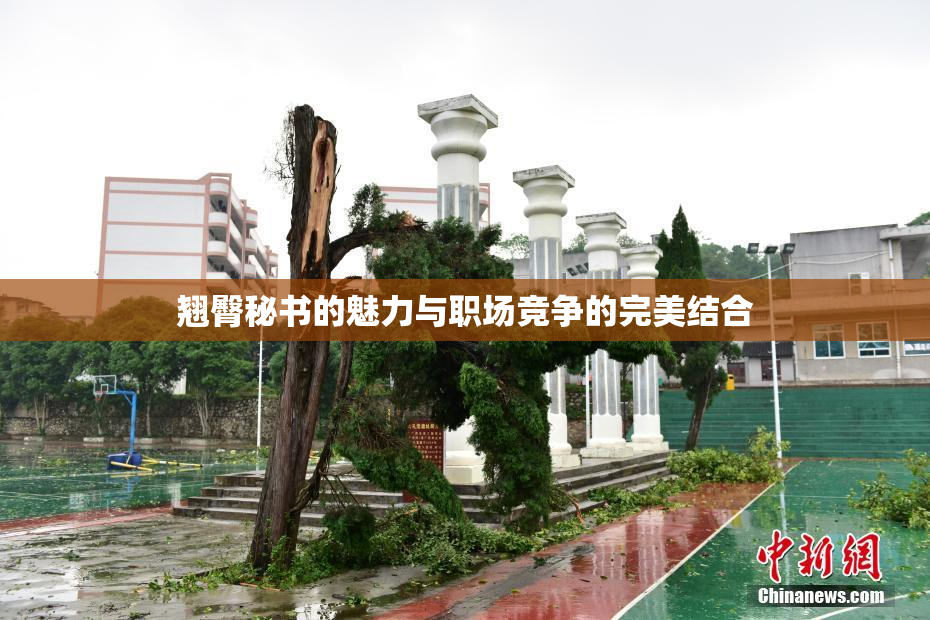 翘臀秘书的魅力与职场竞争的完美结合